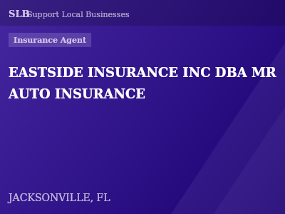 EASTSIDE INSURANCE INC DBA MR AUTO INSURANCE — Insurance Agent in JACKSONVILLE, FL