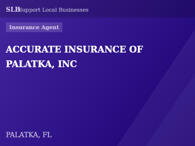 ACCURATE INSURANCE OF PALATKA, INC — Insurance Agent in PALATKA, FL