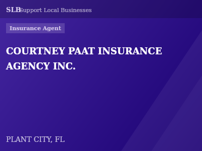 COURTNEY PAAT INSURANCE AGENCY INC. — Insurance Agent in PLANT CITY, FL