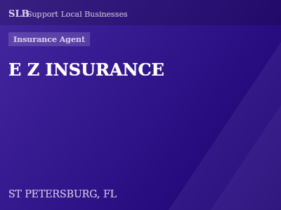 E Z INSURANCE — Insurance Agent in ST PETERSBURG, FL
