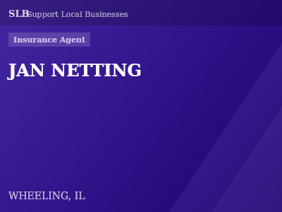 JAN NETTING — Insurance Agent in WHEELING, IL
