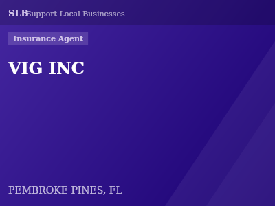 VIG INC — Insurance Agent in PEMBROKE PINES, FL
