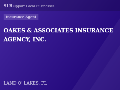 OAKES & ASSOCIATES INSURANCE AGENCY, INC. — Insurance Agent in LAND O' LAKES, FL