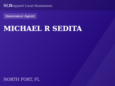 MICHAEL R SEDITA — Insurance Agent in NORTH PORT, FL
