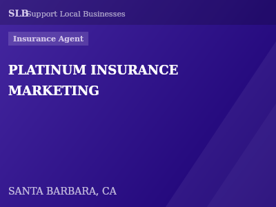 PLATINUM INSURANCE MARKETING — Insurance Agent in SANTA BARBARA, CA
