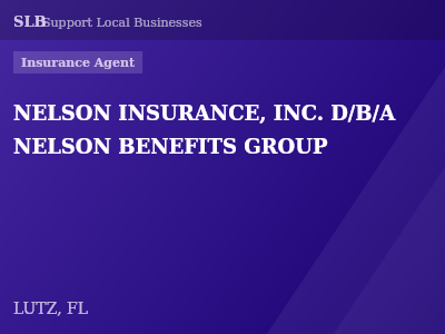NELSON INSURANCE, INC. D/B/A NELSON BENEFITS GROUP — Insurance Agent in LUTZ, FL
