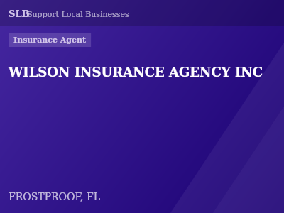 WILSON INSURANCE AGENCY INC — Insurance Agent in FROSTPROOF, FL