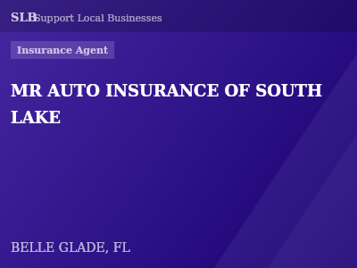 MR AUTO INSURANCE OF SOUTH LAKE — Insurance Agent in BELLE GLADE, FL