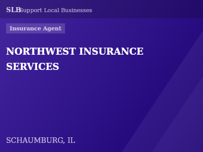 NORTHWEST INSURANCE SERVICES — Insurance Agent in SCHAUMBURG, IL