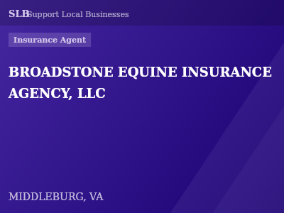 BROADSTONE EQUINE INSURANCE AGENCY, LLC — Insurance Agent in MIDDLEBURG, VA