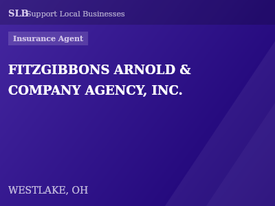 FITZGIBBONS ARNOLD & COMPANY AGENCY, INC. — Insurance Agent in WESTLAKE, OH