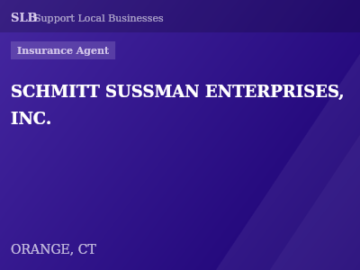 SCHMITT SUSSMAN ENTERPRISES, INC. — Insurance Agent in ORANGE, CT