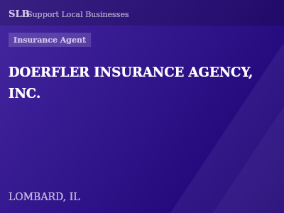 DOERFLER INSURANCE AGENCY, INC. — Insurance Agent in LOMBARD, IL