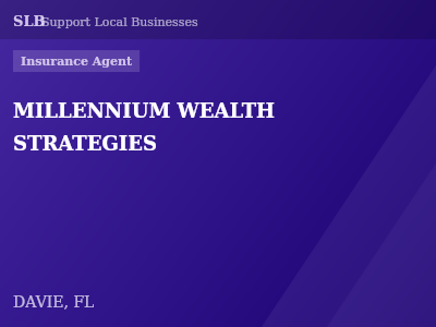 MILLENNIUM WEALTH STRATEGIES — Insurance Agent in DAVIE, FL