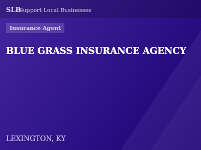 BLUE GRASS INSURANCE AGENCY — Insurance Agent in LEXINGTON, KY