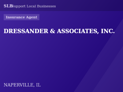 DRESSANDER & ASSOCIATES, INC. — Insurance Agent in NAPERVILLE, IL