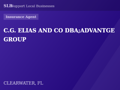 C.G. ELIAS AND CO DBA;ADVANTGE GROUP — Insurance Agent in CLEARWATER, FL