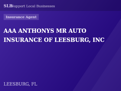 AAA ANTHONYS MR AUTO INSURANCE OF LEESBURG, INC — Insurance Agent in LEESBURG, FL