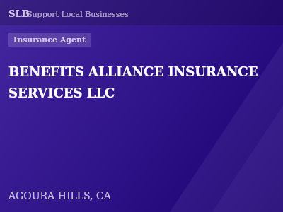BENEFITS ALLIANCE INSURANCE SERVICES LLC — Insurance Agent in AGOURA HILLS, CA