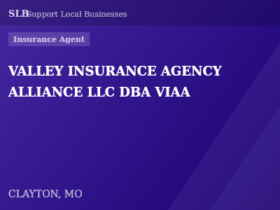 VALLEY INSURANCE AGENCY ALLIANCE LLC DBA VIAA — Insurance Agent in CLAYTON, MO