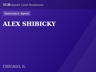 ALEX SHIBICKY — Insurance Agent in CHICAGO, IL