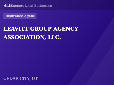 LEAVITT GROUP AGENCY ASSOCIATION, LLC. — Insurance Agent in CEDAR CITY, UT