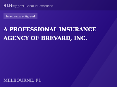 A PROFESSIONAL INSURANCE AGENCY OF BREVARD, INC. — Insurance Agent in MELBOURNE, FL