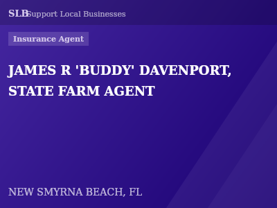 JAMES R 'BUDDY' DAVENPORT, STATE FARM AGENT — Insurance Agent in NEW SMYRNA BEACH, FL