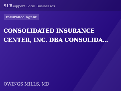 CONSOLIDATED INSURANCE CENTER, INC. DBA CONSOLIDATED INSURANCE + RISK MANAGEMENT — Insurance Agent in OWINGS MILLS, MD