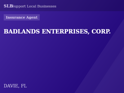 BADLANDS ENTERPRISES, CORP. — Insurance Agent in DAVIE, FL