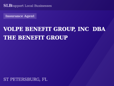 VOLPE BENEFIT GROUP, INC  DBA THE BENEFIT GROUP — Insurance Agent in ST PETERSBURG, FL