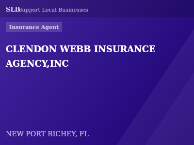CLENDON WEBB INSURANCE AGENCY,INC — Insurance Agent in NEW PORT RICHEY, FL