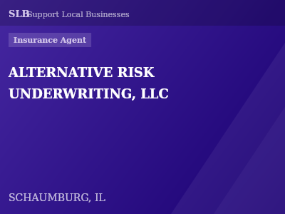 ALTERNATIVE RISK UNDERWRITING, LLC — Insurance Agent in SCHAUMBURG, IL