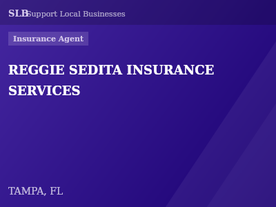 REGGIE SEDITA INSURANCE SERVICES — Insurance Agent in TAMPA, FL