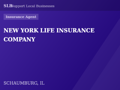 NEW YORK LIFE INSURANCE COMPANY — Insurance Agent in SCHAUMBURG, IL