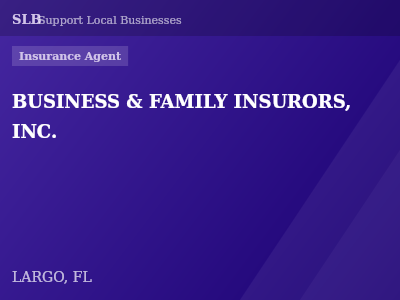 BUSINESS & FAMILY INSURORS, INC. — Insurance Agent in LARGO, FL