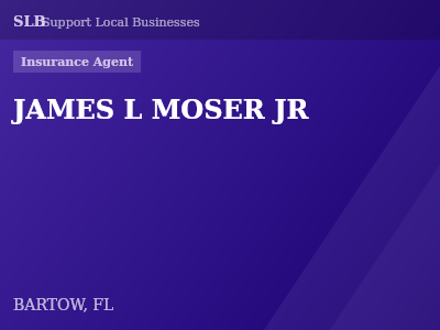 JAMES L MOSER JR — Insurance Agent in BARTOW, FL