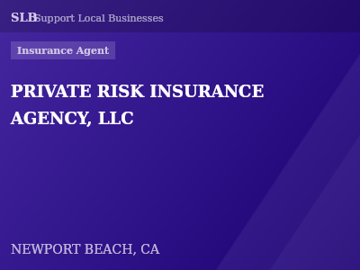 PRIVATE RISK INSURANCE AGENCY, LLC — Insurance Agent in NEWPORT BEACH, CA