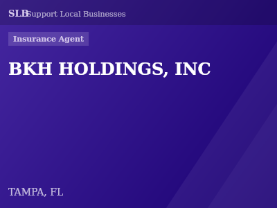 BKH HOLDINGS, INC — Insurance Agent in TAMPA, FL