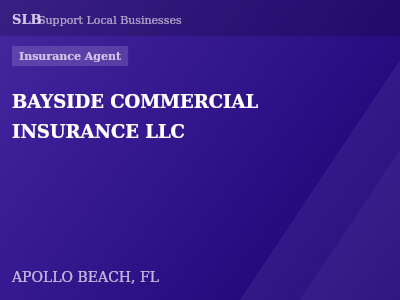 BAYSIDE COMMERCIAL INSURANCE LLC — Insurance Agent in APOLLO BEACH, FL