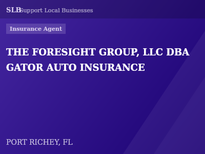 THE FORESIGHT GROUP, LLC DBA GATOR AUTO INSURANCE — Insurance Agent in PORT RICHEY, FL