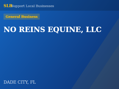 NO REINS EQUINE, LLC — General Business in DADE CITY, FL