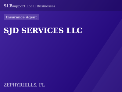SJD SERVICES LLC — Insurance Agent in ZEPHYRHILLS, FL