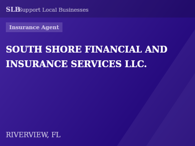 SOUTH SHORE FINANCIAL AND INSURANCE SERVICES LLC. — Insurance Agent in RIVERVIEW, FL