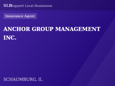 ANCHOR GROUP MANAGEMENT INC. — Insurance Agent in SCHAUMBURG, IL