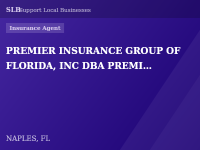 PREMIER INSURANCE GROUP OF FLORIDA, INC DBA PREMIER INSURANCE GROUP — Insurance Agent in NAPLES, FL