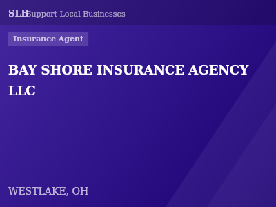 BAY SHORE INSURANCE AGENCY LLC — Insurance Agent in WESTLAKE, OH