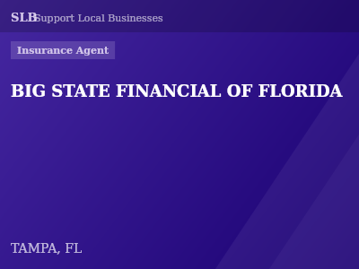 BIG STATE FINANCIAL OF FLORIDA — Insurance Agent in TAMPA, FL
