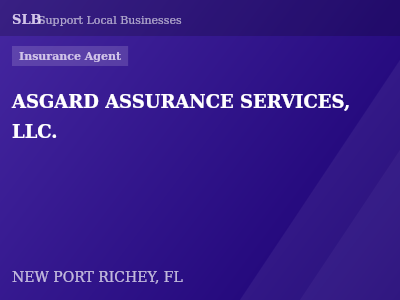 ASGARD ASSURANCE SERVICES, LLC. — Insurance Agent in NEW PORT RICHEY, FL