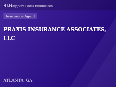 PRAXIS INSURANCE ASSOCIATES, LLC — Insurance Agent in ATLANTA, GA